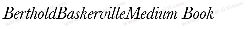 BertholdBaskervilleMedium Book字体转换